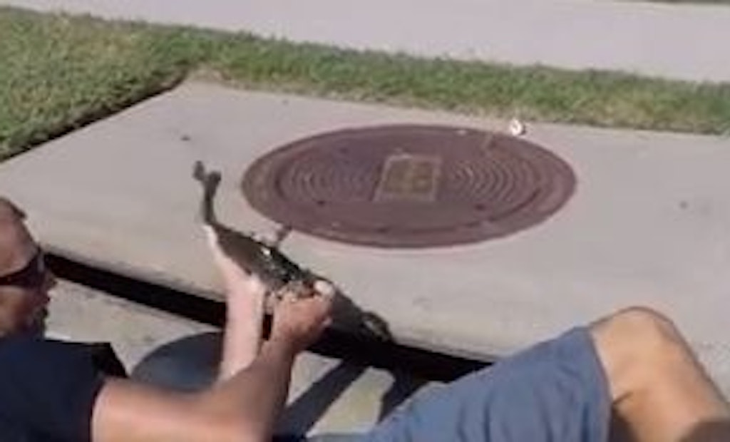 Video: Sewer Fishing Gone Wild!