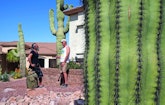Arizona Plumber Showcases Fun Aspects of a Trades Career
